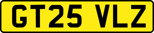 GT25VLZ
