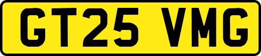 GT25VMG