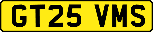 GT25VMS