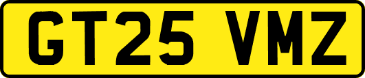 GT25VMZ