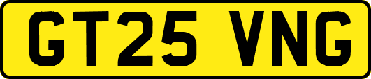 GT25VNG
