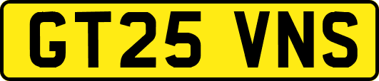 GT25VNS