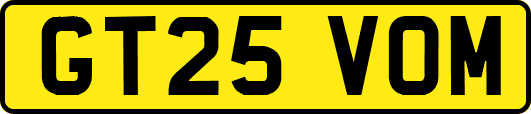GT25VOM