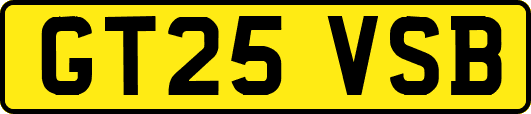 GT25VSB
