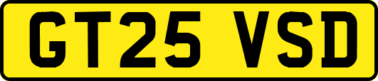 GT25VSD
