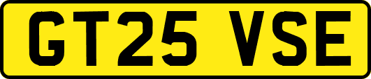 GT25VSE