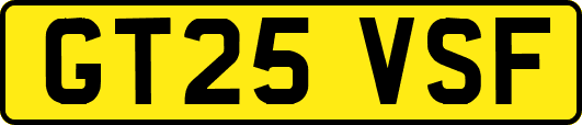 GT25VSF