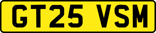 GT25VSM