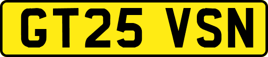 GT25VSN