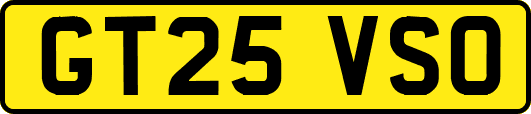 GT25VSO