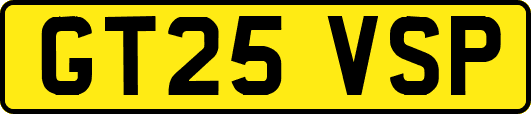 GT25VSP