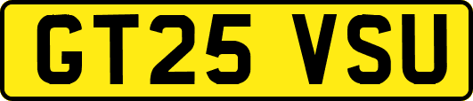 GT25VSU