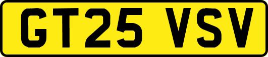 GT25VSV