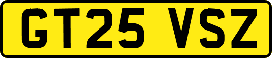 GT25VSZ