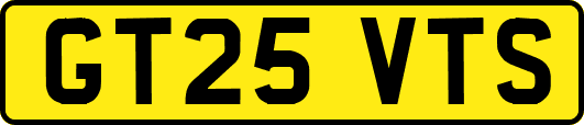 GT25VTS