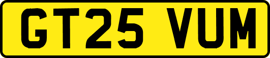 GT25VUM
