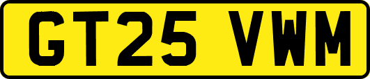 GT25VWM
