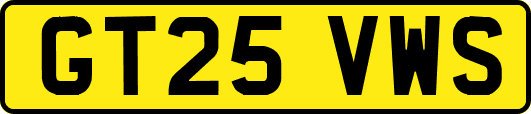 GT25VWS