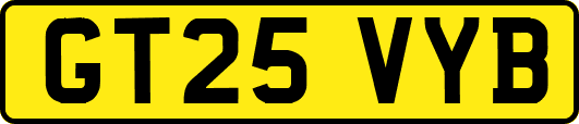 GT25VYB