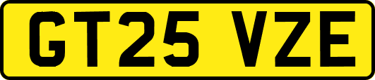 GT25VZE