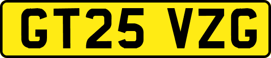 GT25VZG