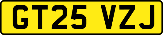 GT25VZJ