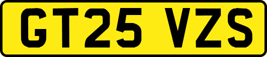 GT25VZS