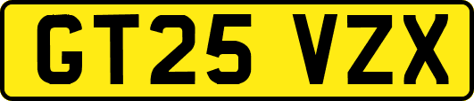 GT25VZX