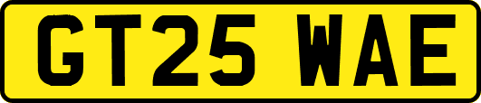 GT25WAE