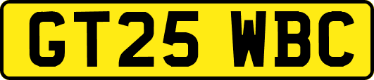 GT25WBC