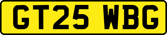 GT25WBG