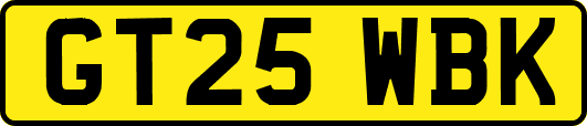 GT25WBK
