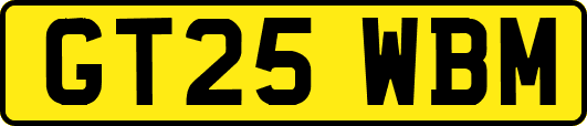 GT25WBM