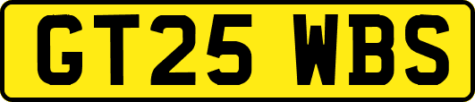 GT25WBS
