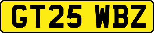 GT25WBZ