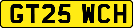 GT25WCH