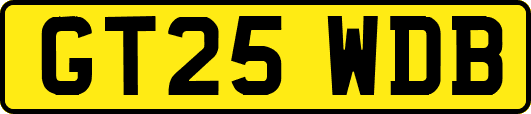 GT25WDB