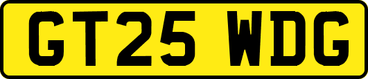 GT25WDG