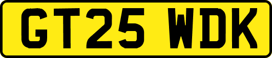GT25WDK