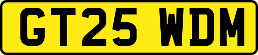 GT25WDM