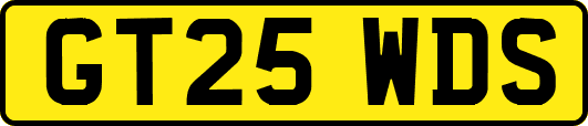 GT25WDS