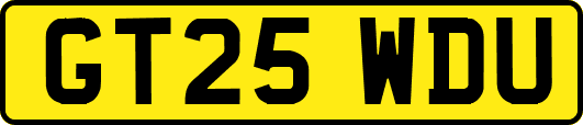 GT25WDU
