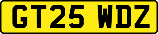 GT25WDZ