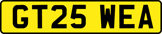 GT25WEA