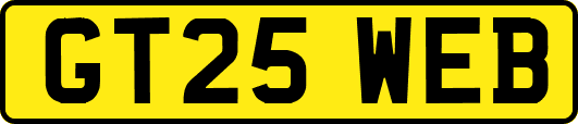 GT25WEB