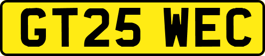 GT25WEC