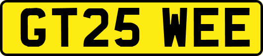 GT25WEE