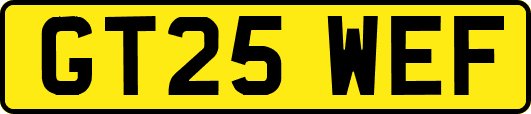 GT25WEF