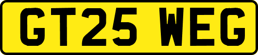 GT25WEG