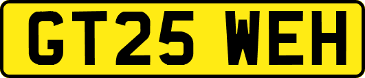 GT25WEH